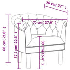 Fauteuil club élégant – Individuel, simili cuir argenté, mousse, pin et contreplaqué pour le salon ou le bureau
